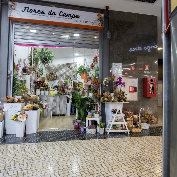 Entrada lateral loja