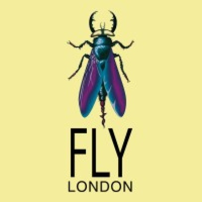 logo Fly London